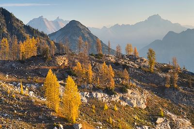Parc national des North Cascades - Etat de Washington - Etats-Unis