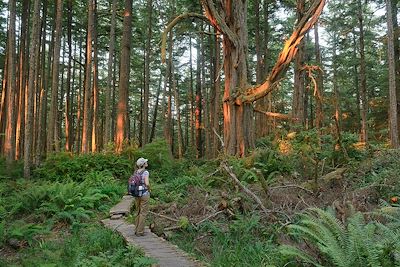 Olympic National Park - Etat de Washington - Etats-Unis