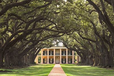 Oak Alley Plantation - La Vacherie - Louisiane - Etats-Unis