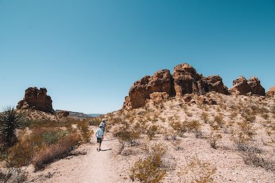 Big Bend National Park - Texas - Etats-Unis
