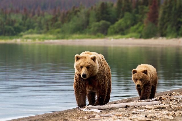 Randonnée Etats-Unis Alaska