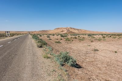 Route dans le désert du Kyzylkoum - Ouzbékistan
