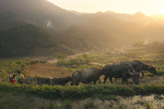 Rencontres Vietnam Hanoi et la Baie d'Halong
