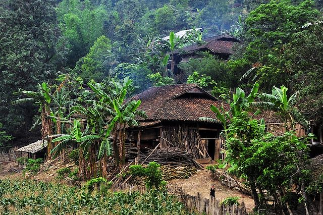 Randonnée Vietnam Montagnes du Tonkin