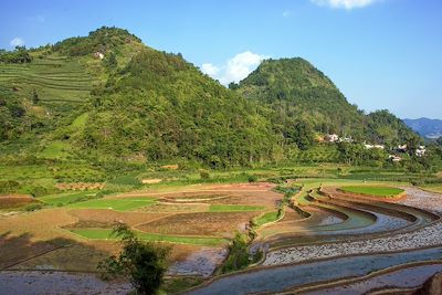 Bac Ha - Vietnam