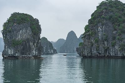 Baie d'Halong et Cat Ba - Vietnam