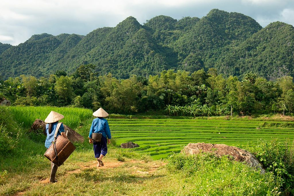 Randonnée Vietnam