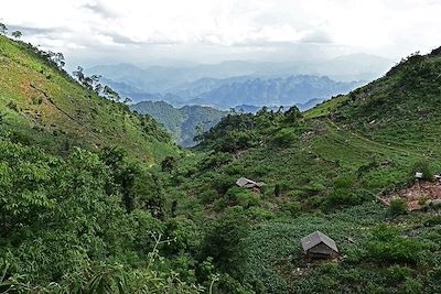 Pà Co - Vietnam