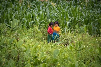 Meo Vac - Vietnam