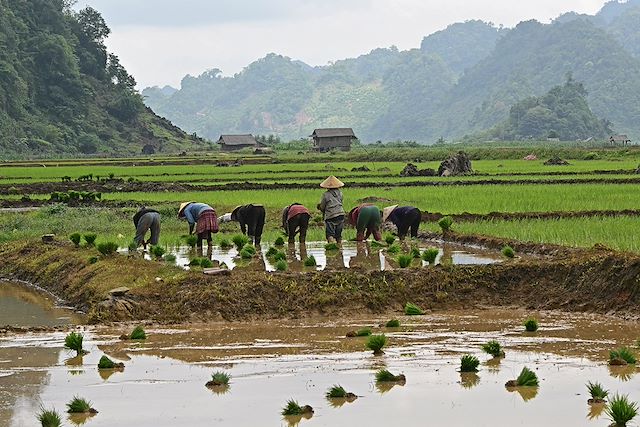 Découverte Vietnam Hanoi et la Baie d'Halong