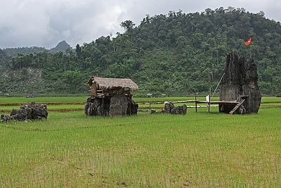 Moc Chau - Vietnam