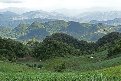 Pà Co - Vietnam