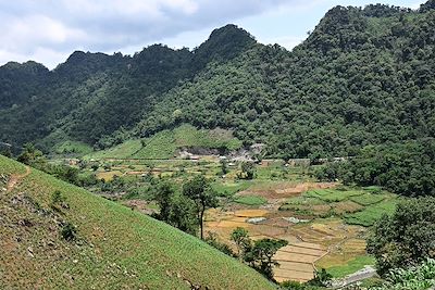 Pà Co - Vietnam 