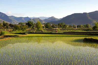 Nghia Lo - Vietnam