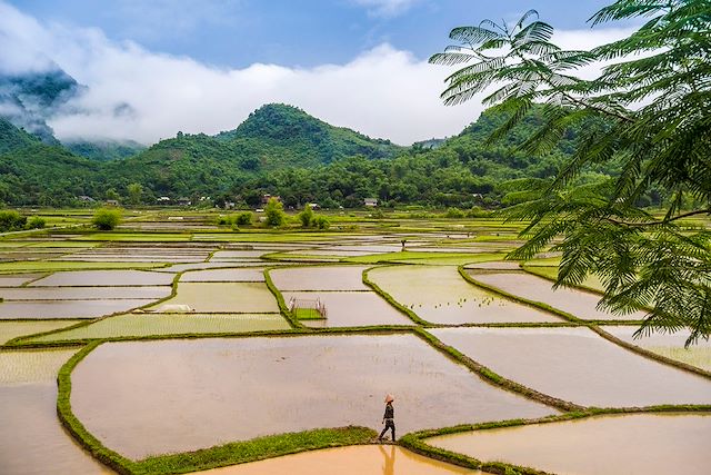 Vélo Vietnam Hanoi et la Baie d'Halong