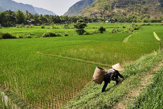 Découverte Vietnam Montagnes du Tonkin
