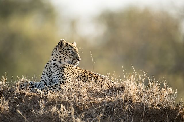 Randonnée Afrique du Sud