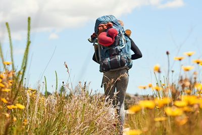 Une randonneuse avec son sac à dos le long d'un sentier fleuri - Du Toitskloof - Afrique du Sud