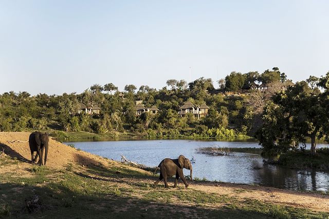 Safari à pied Afrique du Sud