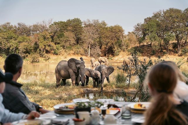 Safari à pied Afrique du Sud