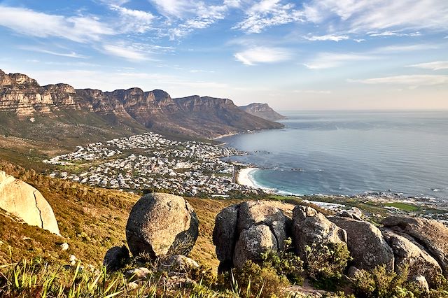 Safari Afrique du Sud Cape Town