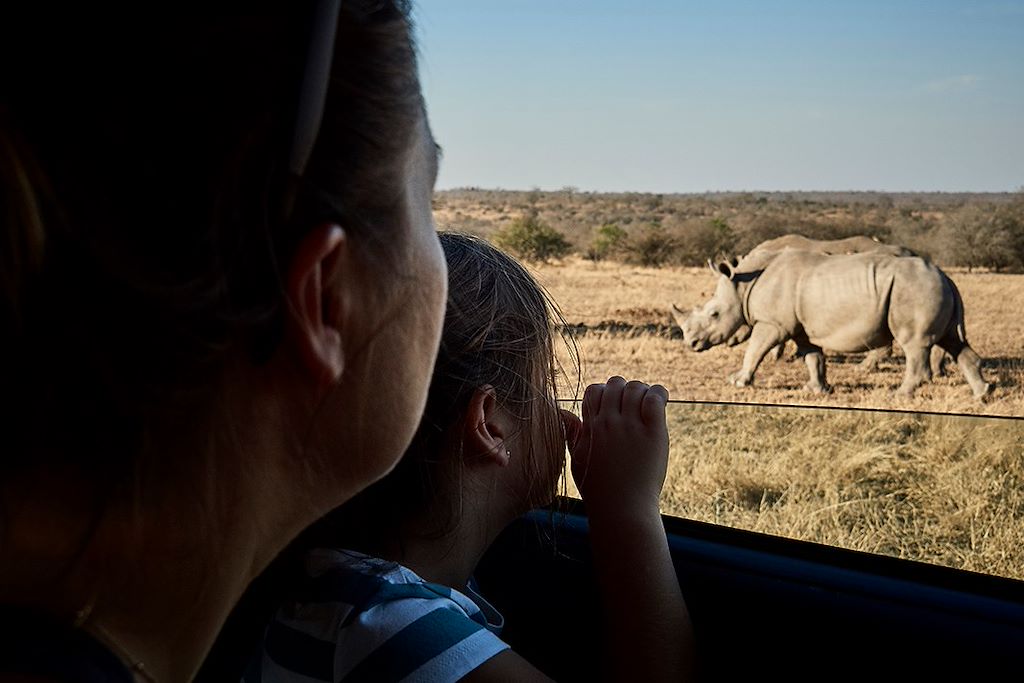 Safari Afrique du Sud