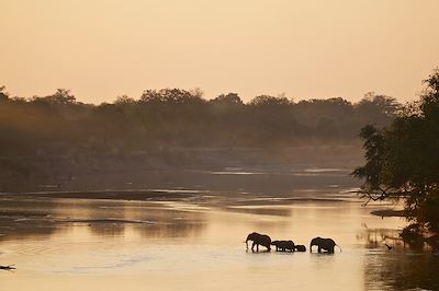 Parc national de South Luangwa - Zambie