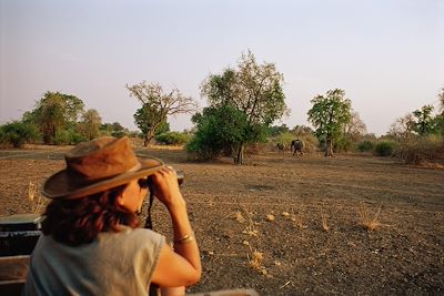 Eléphants - Parc national de South Luangwa  - Zambie