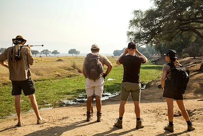 Safari au Zimbabwe