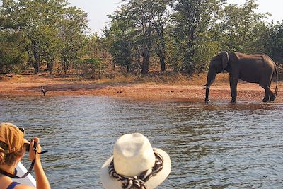 Croisière safari Kariba – Parc de Matusadona - Zimbabwe
