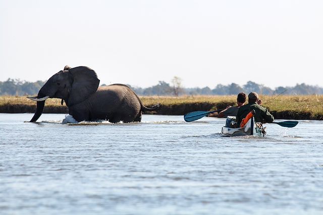 Kayak et canoë Zimbabwe