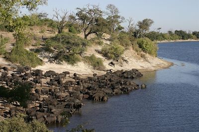 Chobe Elephant Camp - Chobe National Park - Botswana