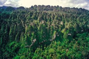 Tewet, Le dayak aux mille grottes