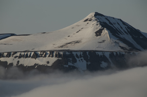 Bear Island