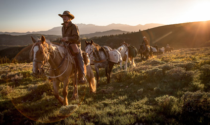 Unbranded