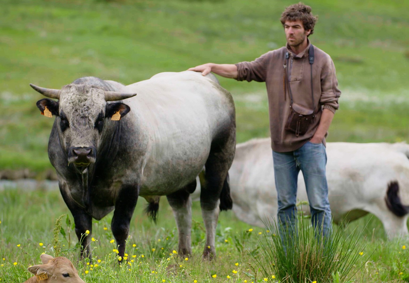 Brice, le vacher à l'assaut des Pyrénées