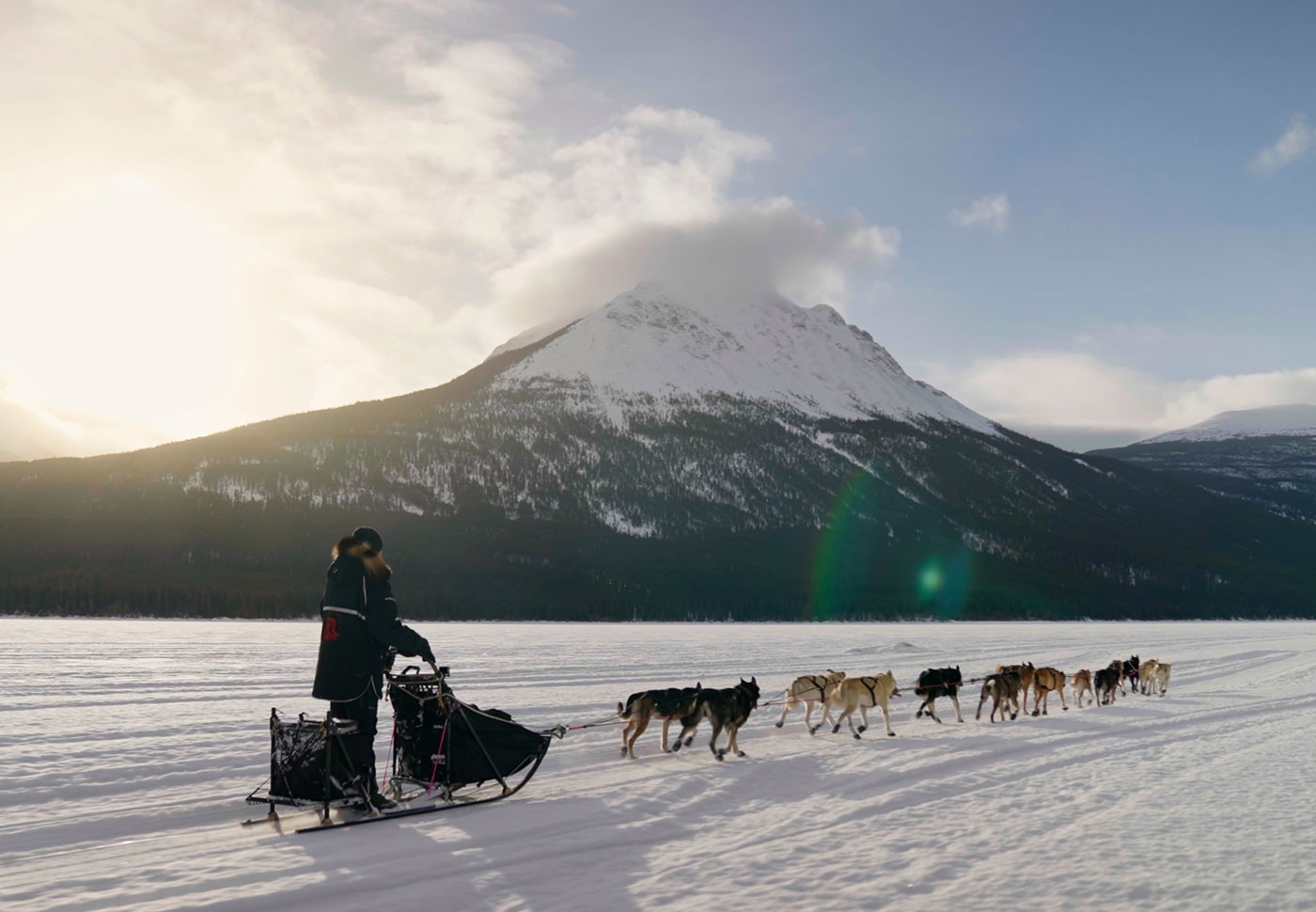 Musher, l’appel de l’Alaska