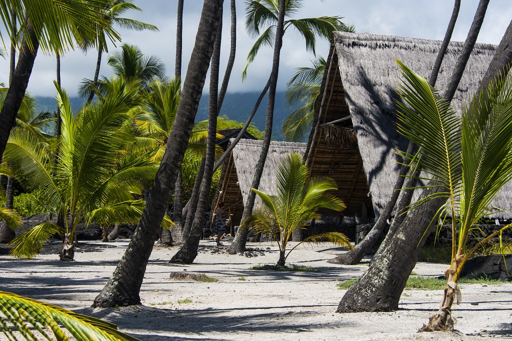 Refuge de Pu'uhonua rassemblait un sanctuaire irradiant le site de son mana, des maisons pour le chef et son entourage ainsi que des abris servant à l'intendance. - ©Solveig Placier Refuge de Pu'uhonua rassemblait un sanctuaire irradiant le site de son mana, des maisons pour le chef et son entourage ainsi que des abris servant à l'intendance. - ©Solveig Placier