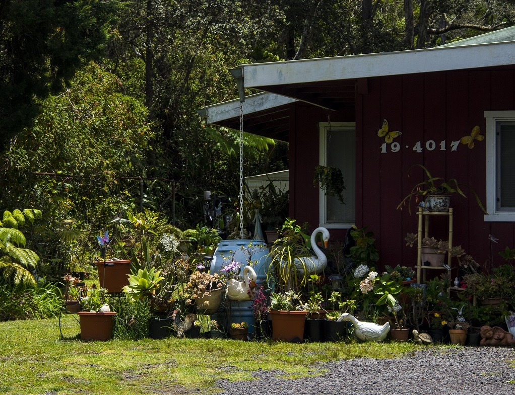 Au village de Volcano : ces coquettes maisons, situées à proximité immédiate du parc national des volcans, sur l'île d'Hawaï, ont été épargnées par les dernières éruptions - ©Solveig Placier Au village de Volcano : ces coquettes maisons, situées à proximité immédiate du parc national des volcans, sur l'île d'Hawaï, ont été épargnées par les dernières éruptions - ©Solveig Placier