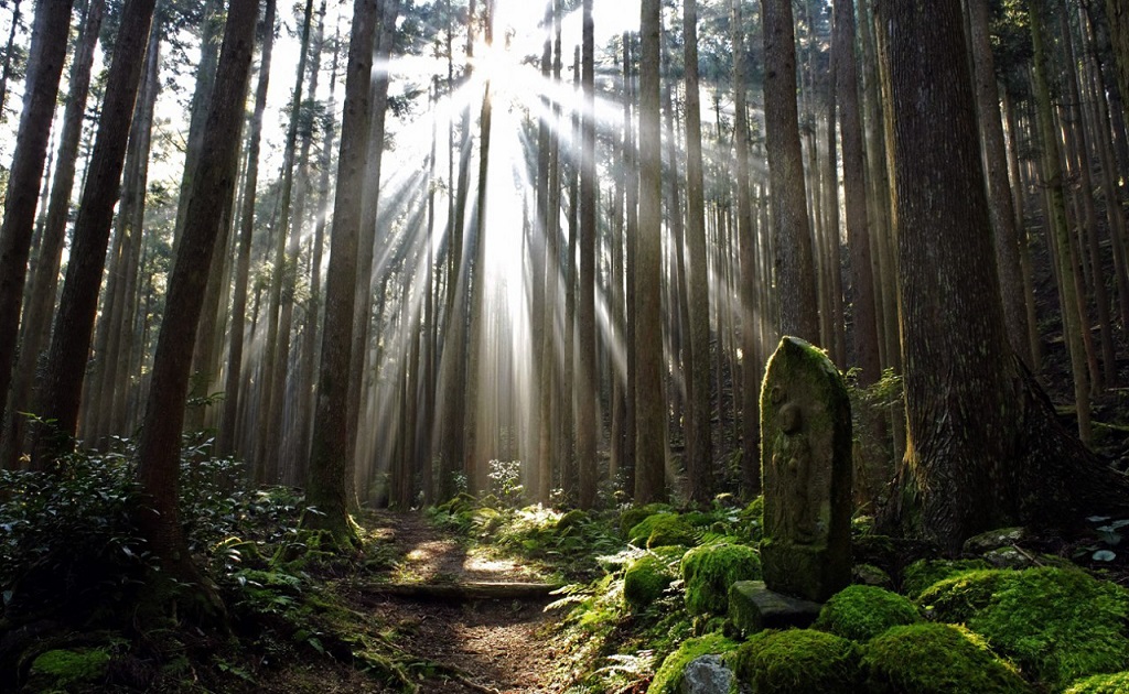 Kumano Kodo, Région de Wakayama - ©JNTO Kumano Kodo, Région de Wakayama - ©JNTO