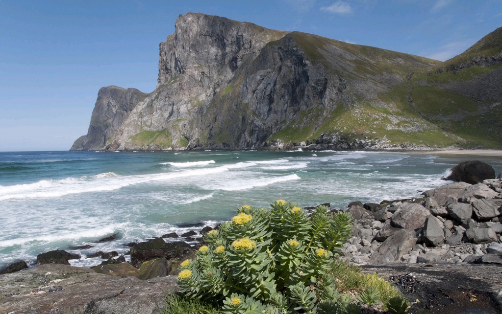 Archipel des &icirc;les Lofoten