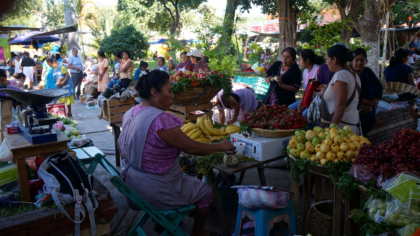 Marché de Zaachila, vallée centrale de Oaxaca - ©Véronique Salmon Marché de Zaachila, vallée centrale de Oaxaca