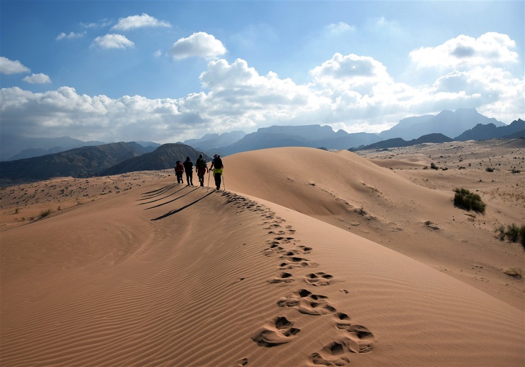 Dans le wadi Araba, Jordanie - ©Elodie Rabier Dans le wadi Araba, Jordanie