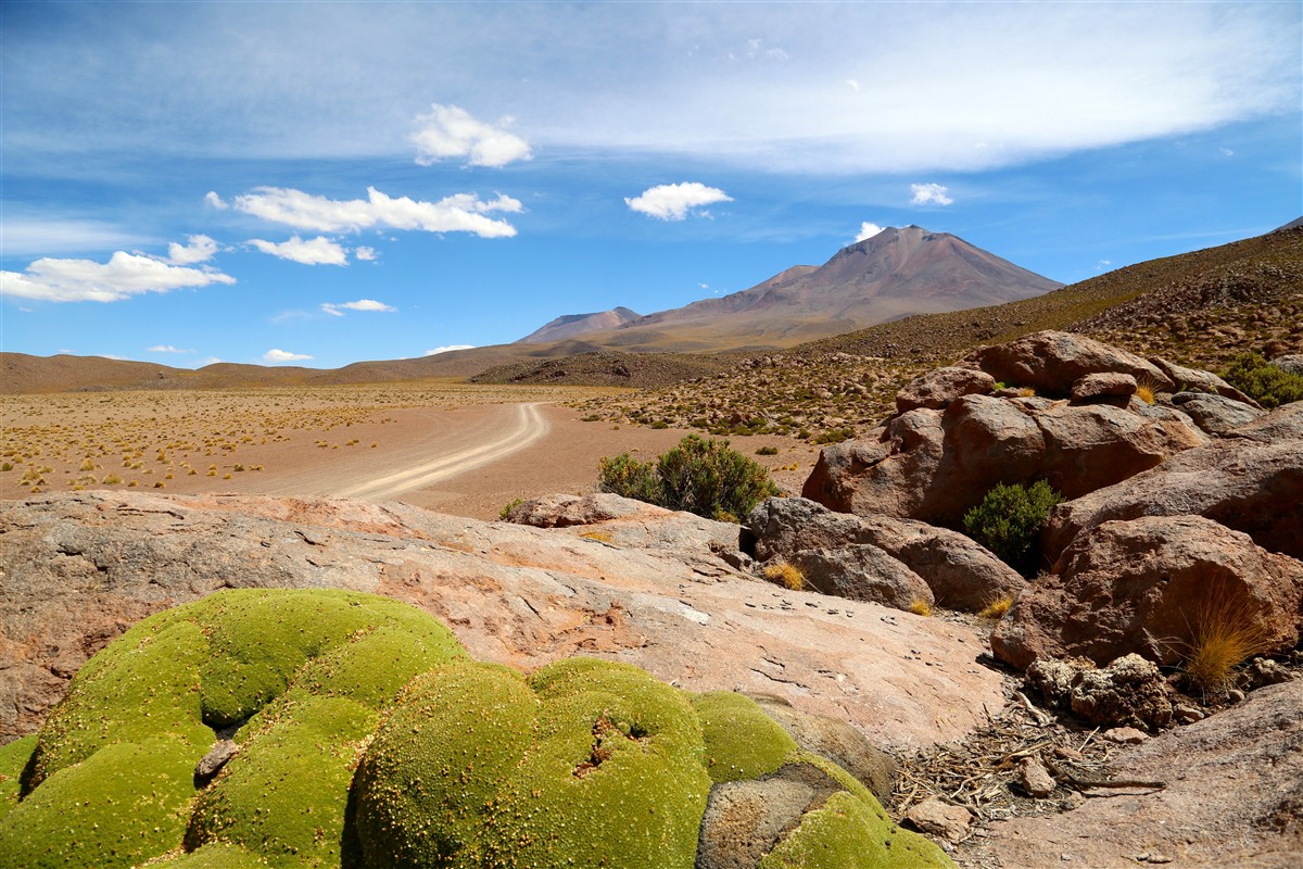 Direction la Bolivie - &copy;Thomas Callens