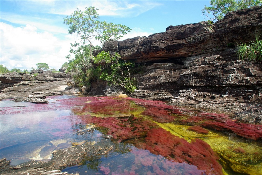 Rivi&egrave;re color&eacute;e de Ca&ntilde;o Cristales 