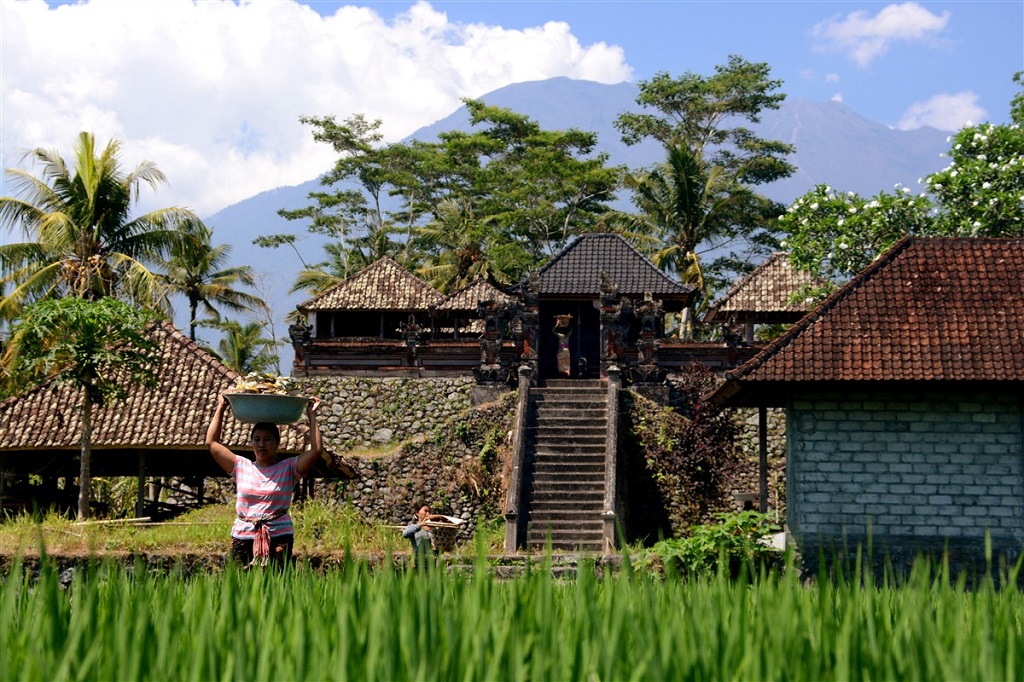 Vall&eacute;e de Sidemen, Bali