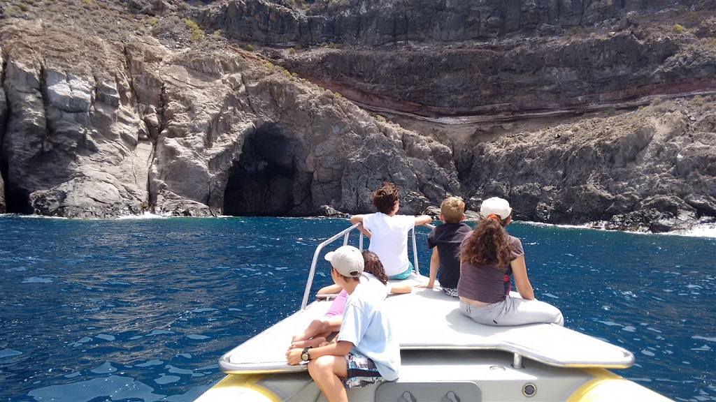 Observation des dauphins, La Gomera - ©Javier Chirivella Costa Observation des dauphins, La Gomera