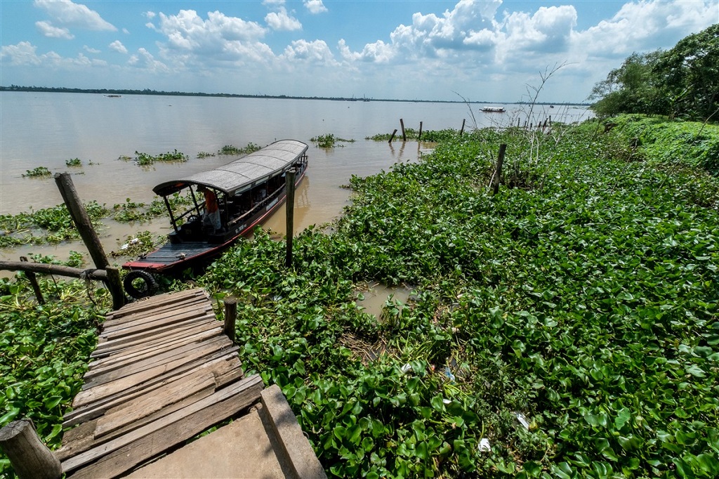 Au c&oelig;ur du delta du Mekong - &copy;Fran&ccedil;ois Vanni&egrave;re