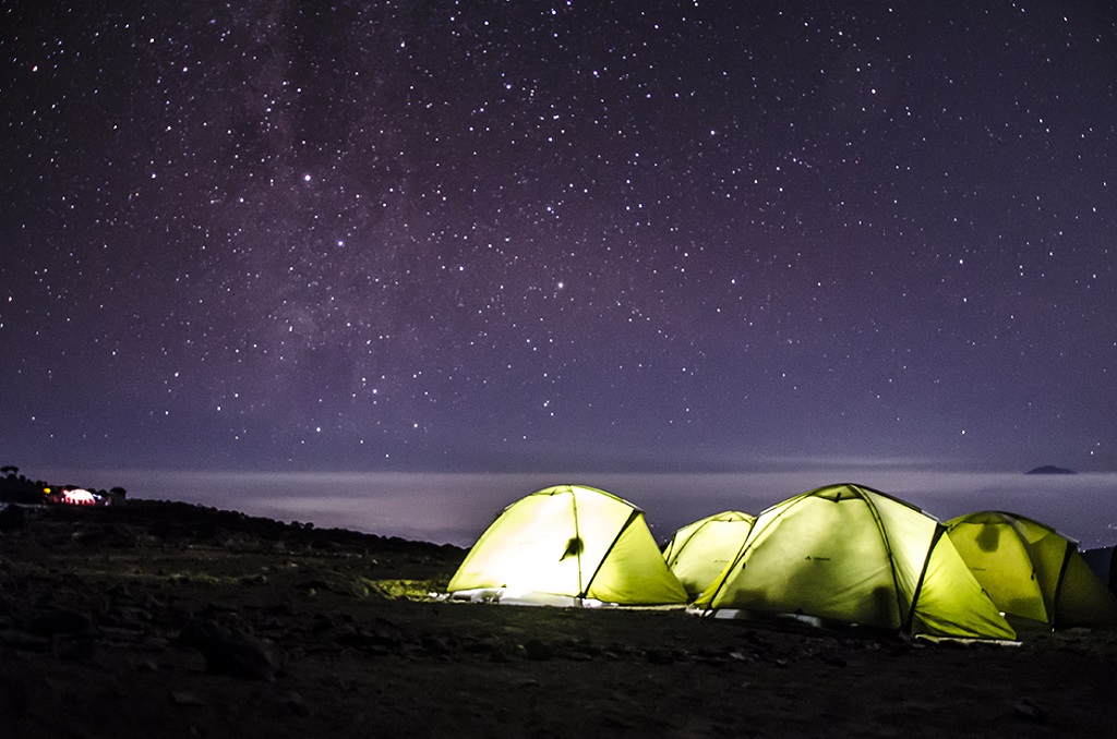 ©Emilie Delfaut
