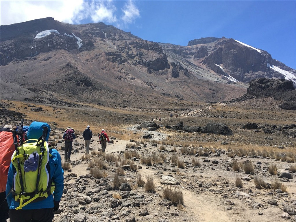 Kilimandjaro, voie Machame - ©Emilie Delfaut Kilimandjaro, voie Machame